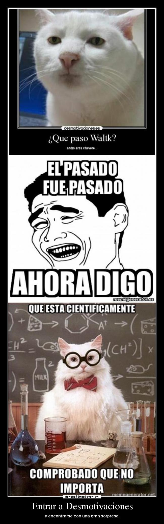 Entrar a Desmotivaciones - 