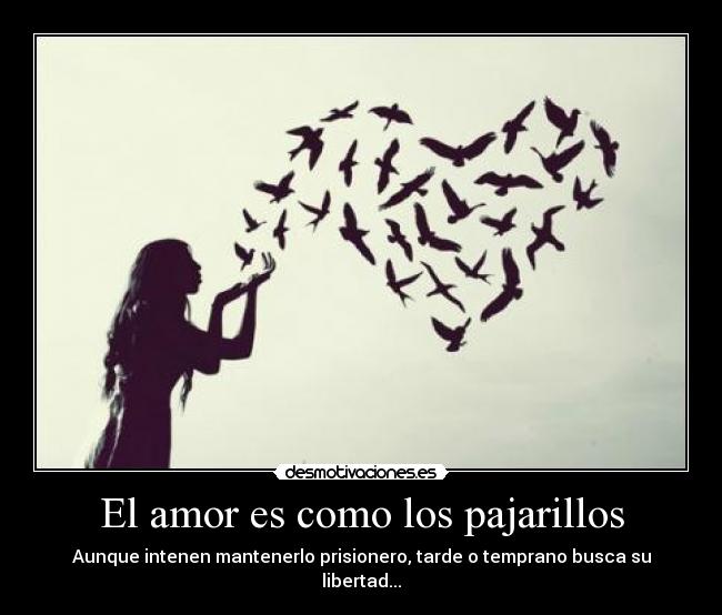 carteles amor libertad desmotivaciones