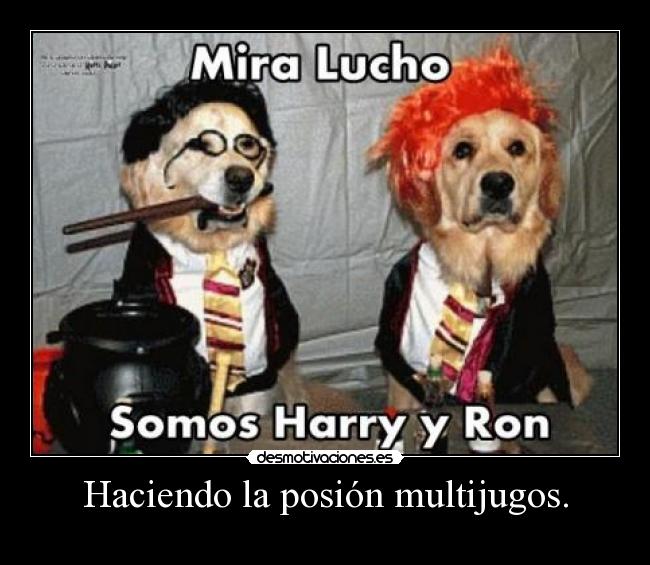 Haciendo la posión multijugos. -