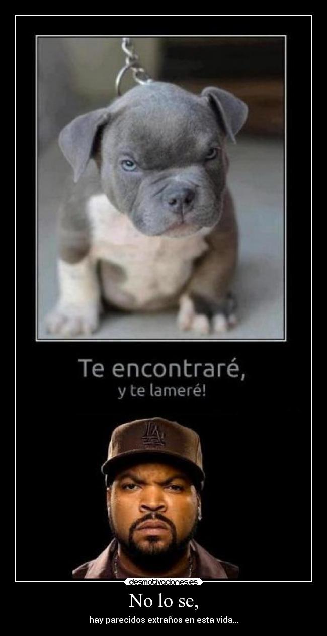 No lo se, - hay parecidos extraños en esta vida...