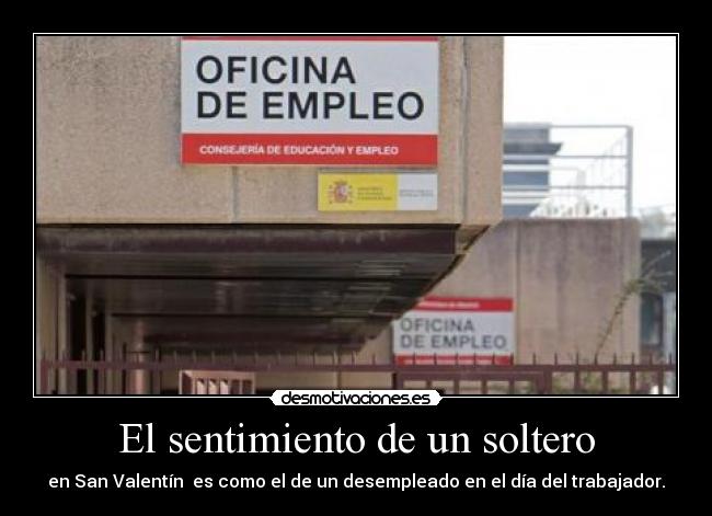 El sentimiento de un soltero - en San Valentín  es como el de un desempleado en el día del trabajador.