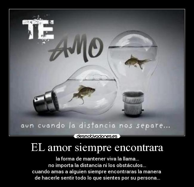 EL amor siempre encontrara - 