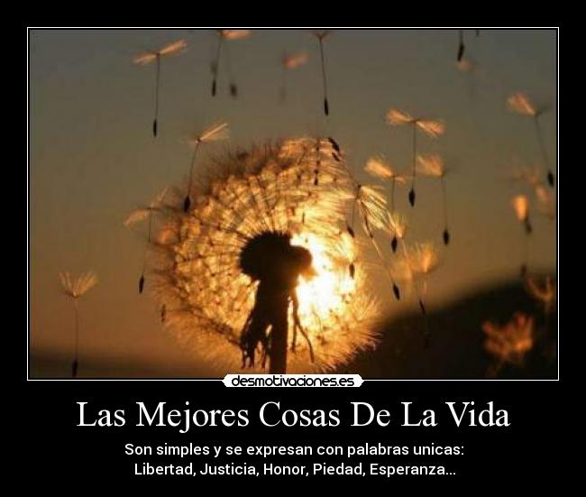 Las Mejores Cosas De La Vida - Son simples y se expresan con palabras unicas:
Libertad, Justicia, Honor, Piedad, Esperanza...