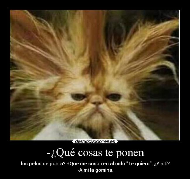 carteles que cosas ponen los pelos puntaque susurren oido welmfao gomina desmotivaciones