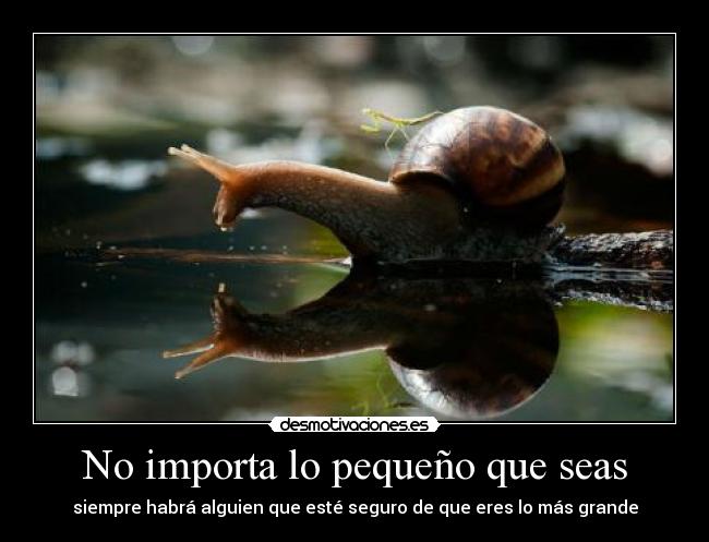 No importa lo pequeño que seas -