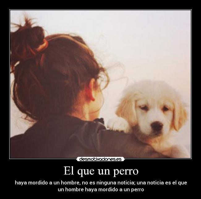 El que un perro -
