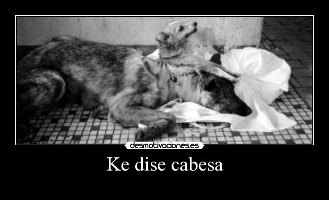 Ke dise cabesa -