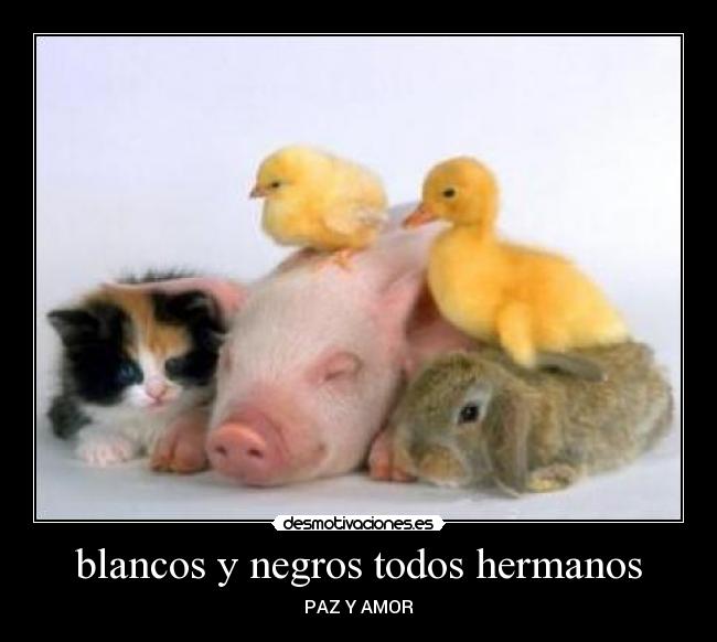blancos y negros todos hermanos - 
