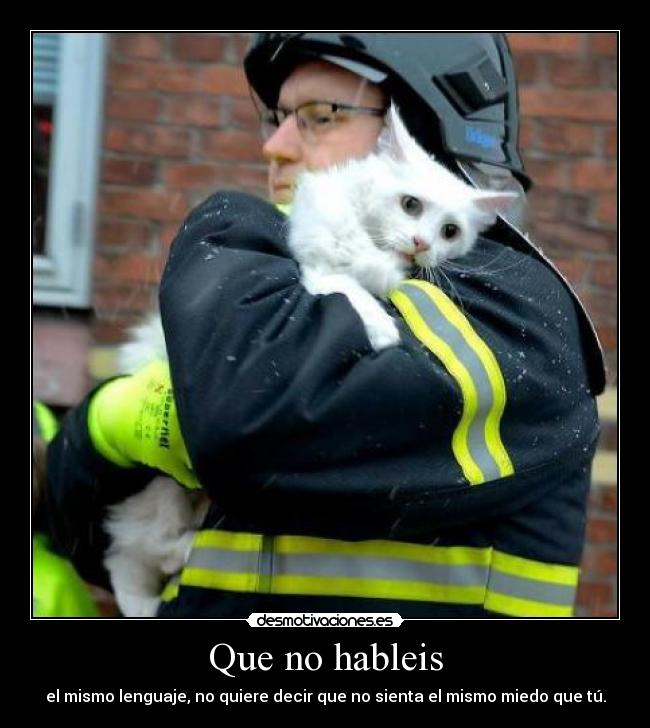 Que no hableis - el mismo lenguaje, no quiere decir que no sienta el mismo miedo que tú.