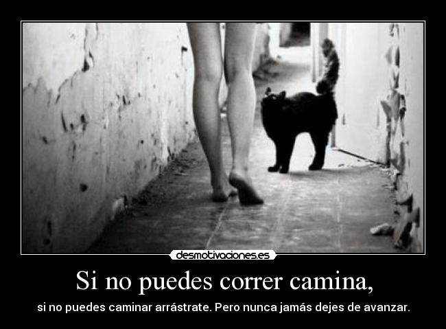 carteles ehre desmotivaciones