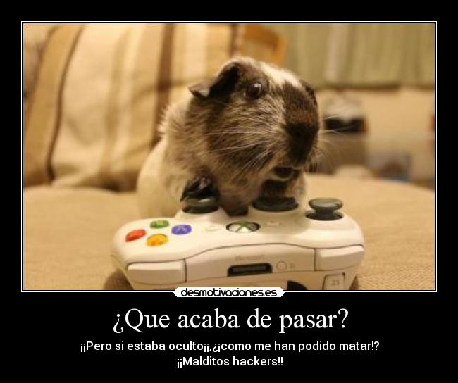 ¿Que acaba de pasar? - 