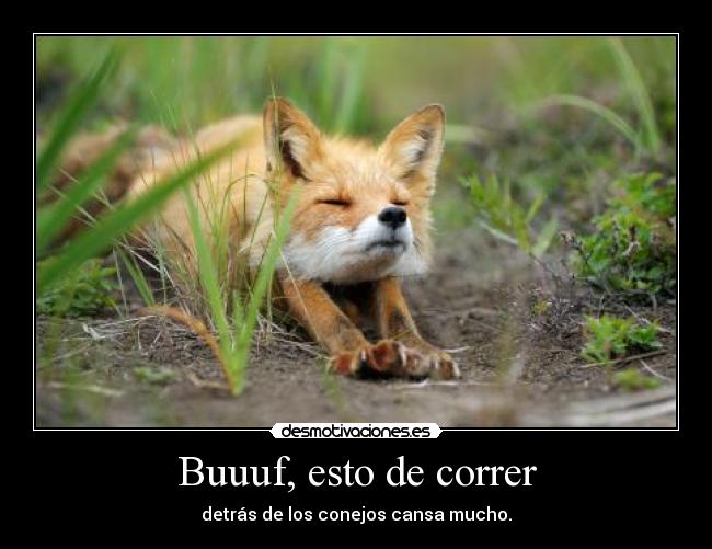 Buuuf, esto de correr - 