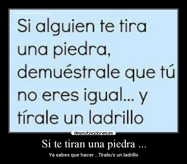 carteles piedras ladrillos desmotivaciones