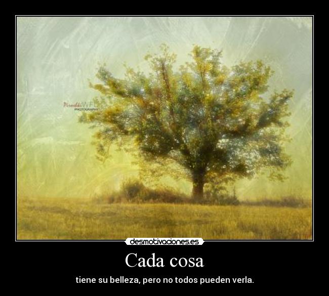 Cada cosa - tiene su belleza, pero no todos pueden verla.