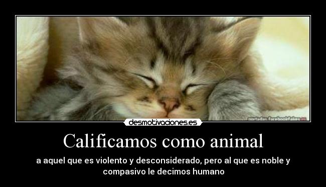 Calificamos como animal - a aquel que es violento y desconsiderado, pero al que es noble y
compasivo le decimos humano