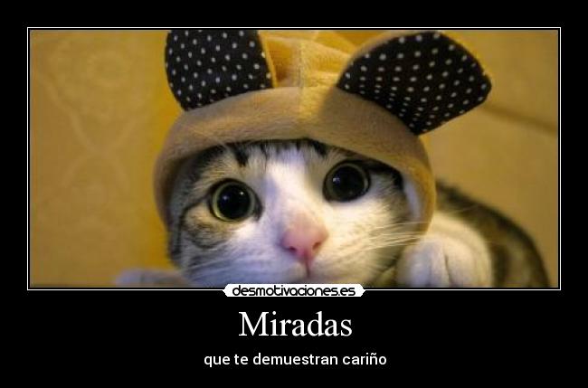 Miradas -