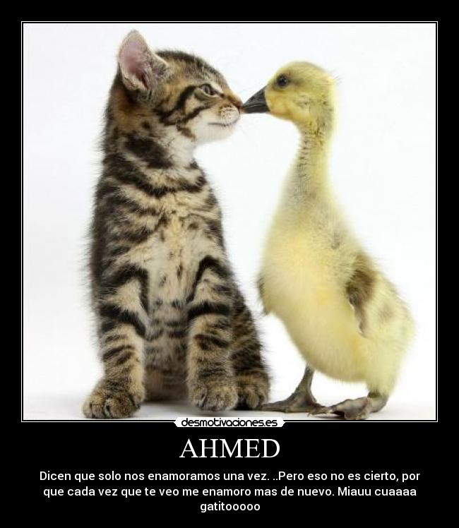 carteles amo000r desmotivaciones