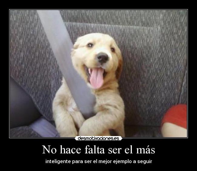 carteles continuacion cartel hace semana media rajoy sin cinturon desmotivaciones