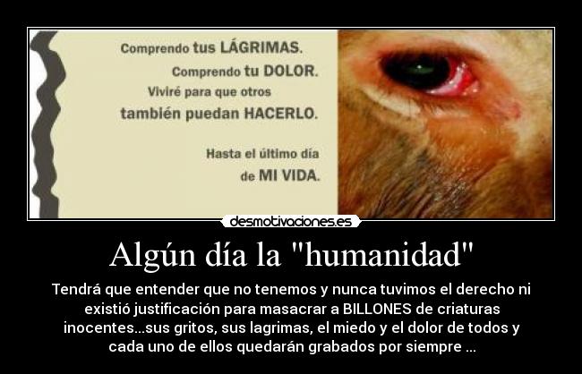 Algún día la humanidad - Tendrá que entender que no tenemos y nunca tuvimos el derecho ni
existió justificación para masacrar a BILLONES de criaturas
inocentes...sus gritos, sus lagrimas, el miedo y el dolor de todos y
cada uno de ellos quedarán grabados por siempre ...