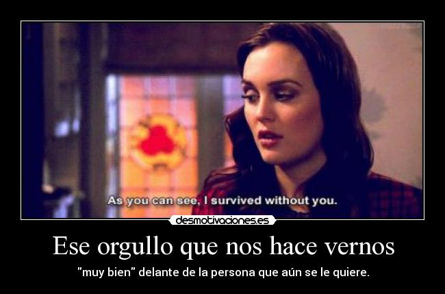 carteles orgullo malo malo malo serie gossip girl desmotivaciones
