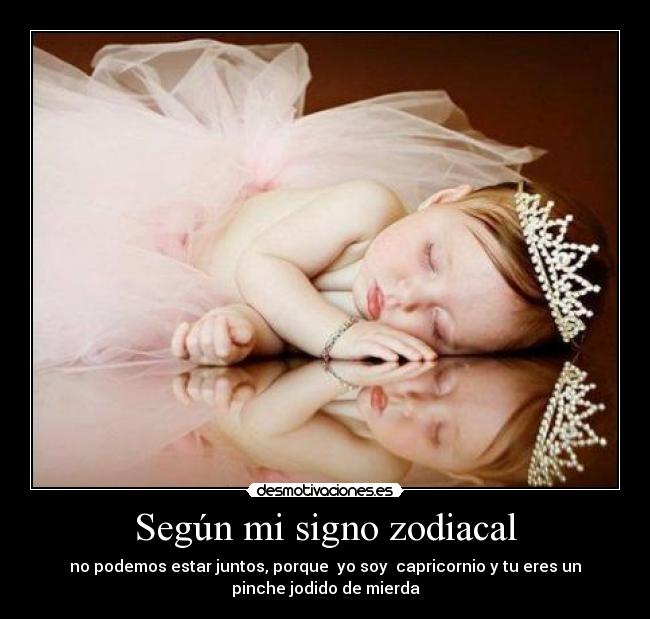 Según mi signo zodiacal - 