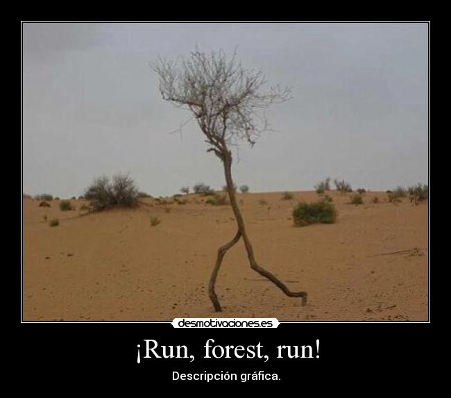 ¡Run, forest, run! -