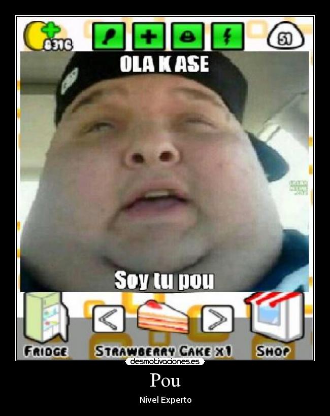 Pou - Nivel Experto