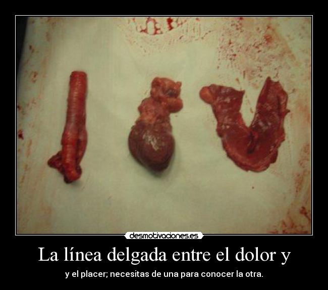 La línea delgada entre el dolor y - y el placer; necesitas de una para conocer la otra.