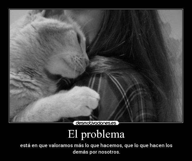 carteles mucha gente cuenta eso jode desmotivaciones