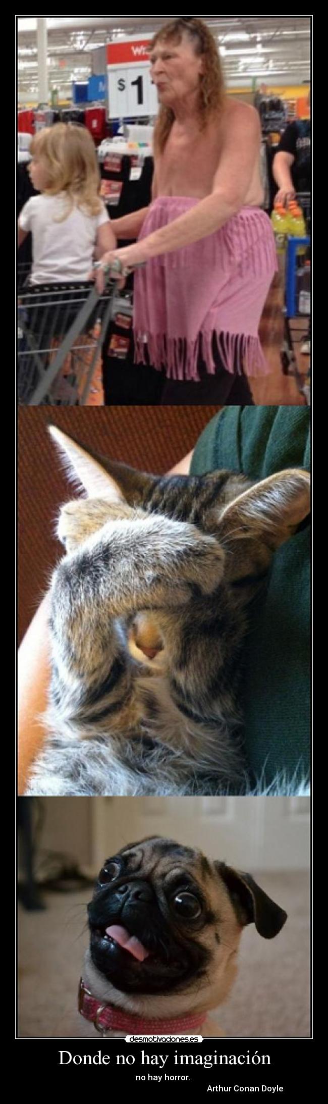 Donde no hay imaginación - no hay horror.
Arthur Conan Doyle