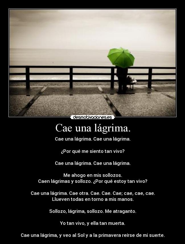 carteles lagrimas desmotivaciones