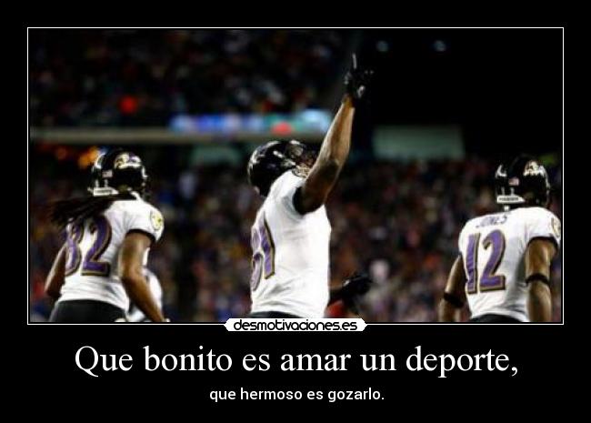 carteles nfl ravens deporte ray lewis joe flaco desmotivaciones