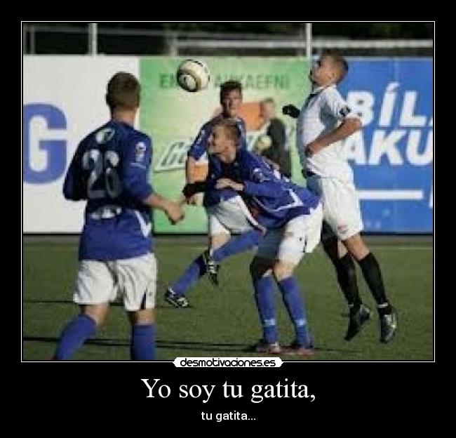 Yo soy tu gatita, -