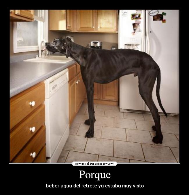 Porque - 