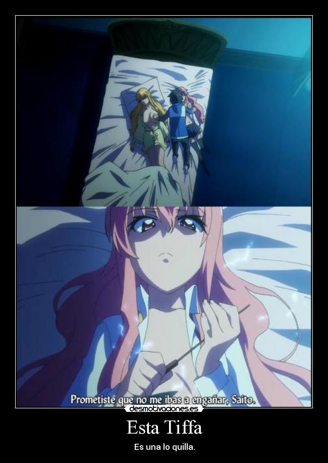 carteles anime zeronotsukaima pixilin desmotivaciones