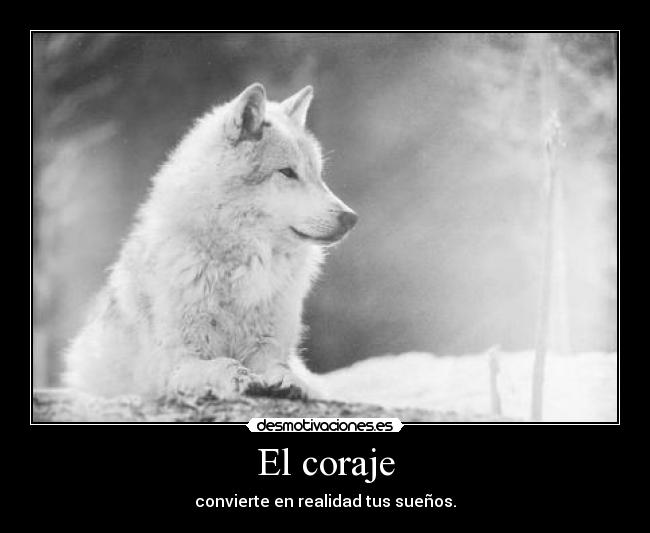 El coraje - convierte en realidad tus sueños.