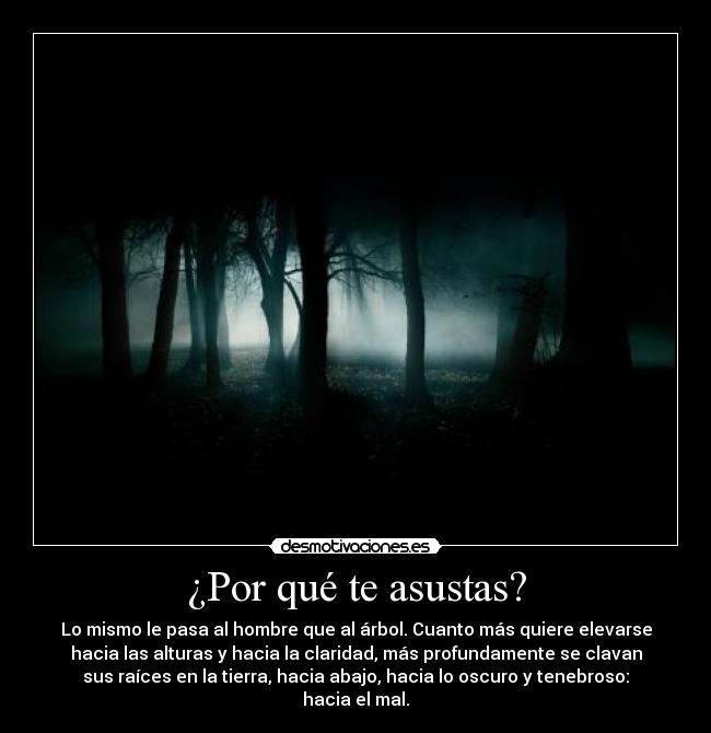 ¿Por qué te asustas? - Lo mismo le pasa al hombre que al árbol. Cuanto más quiere elevarse
hacia las alturas y hacia la claridad, más profundamente se clavan
sus raíces en la tierra, hacia abajo, hacia lo oscuro y tenebroso:
hacia el mal.