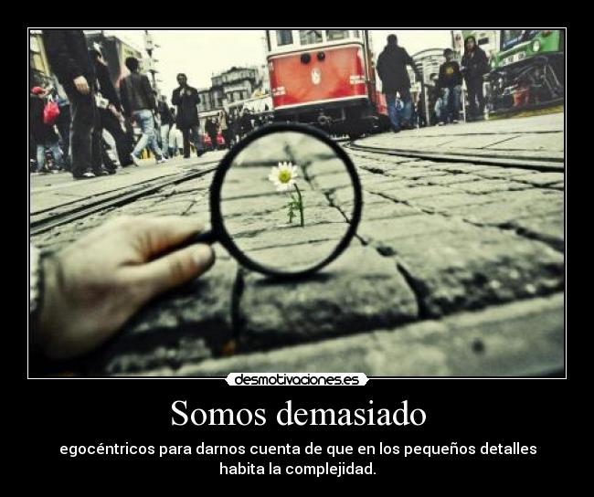 Somos demasiado - 