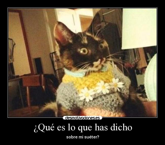 ¿Qué es lo que has dicho - sobre mi suéter?
