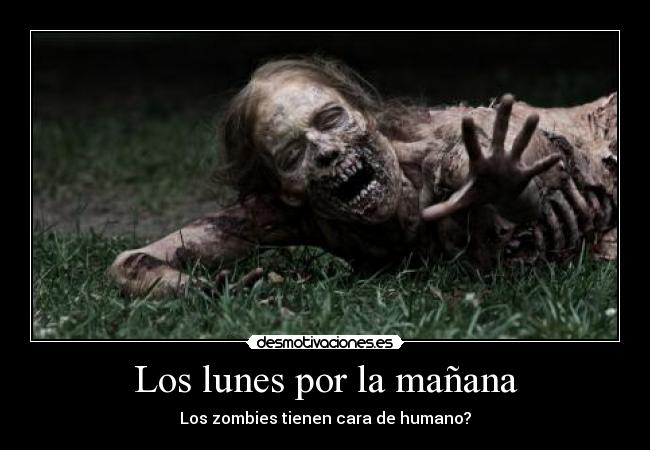 carteles elivite desmotivaciones