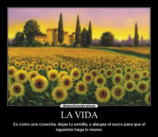 carteles vida vida desmotivaciones