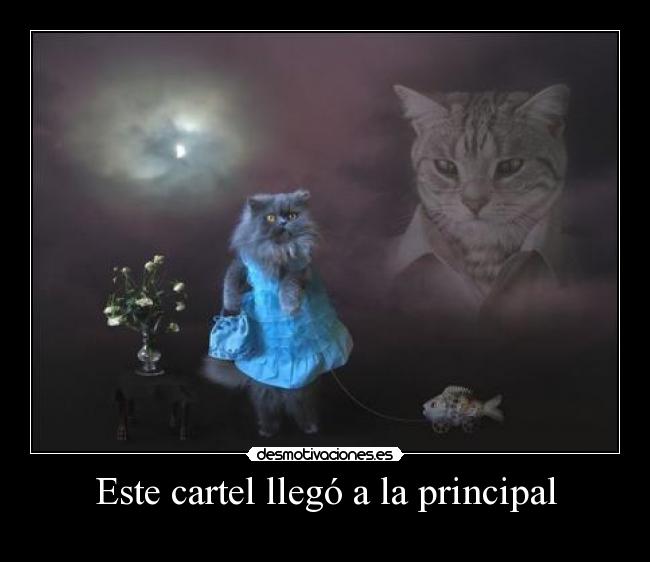 carteles lightuptheworld mejor foto del internet principal dedicado walt desmotivaciones