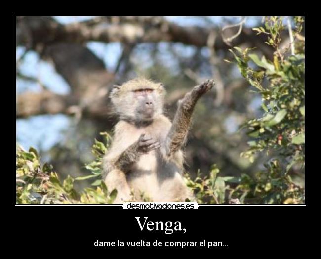 Venga, -
