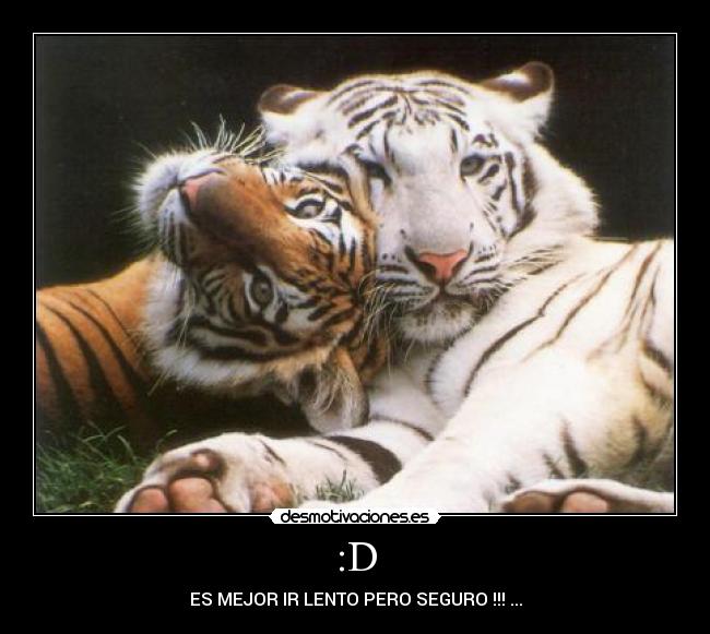 carteles johanna bobadilla desmotivaciones