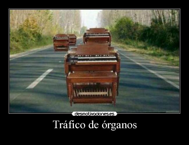 Tráfico de órganos - 