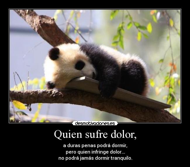 Quien sufre dolor, -