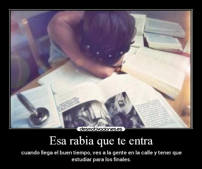 Esa rabia que te entra - cuando llega el buen tiempo, ves a la gente en la calle y tener que
estudiar para los finales.