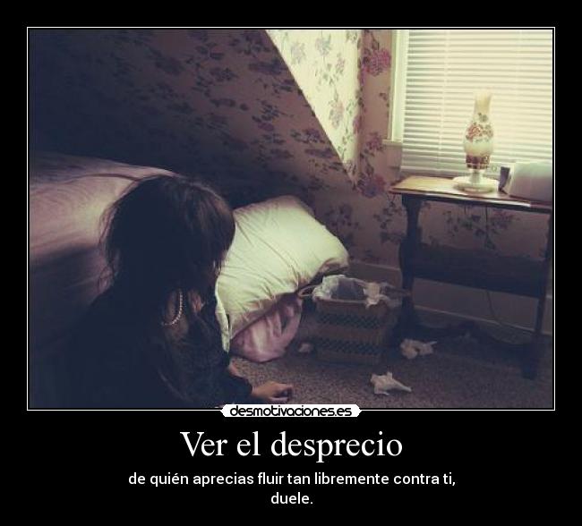 Ver el desprecio - 