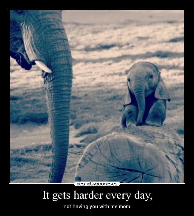 It gets harder every day, - not having you with me mom.