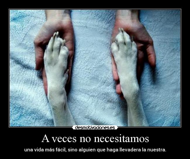 A veces no necesitamos - 